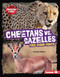Cheetahs vs. Gazelles (Food Chain Fights) by Sarah Roggio, 9798765647295