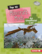 Top 10 Minecraft Mods (An Unofficial List) by Ty Chapman, 9798765647554