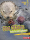 Sea Otters (Kelp Forest Engineers) by Heather E. Schwartz, 9798765647653