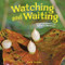 Watching and Waiting (What Hatches from Nature's Nurseries) by Sara Levine, 9798765648940