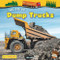 We Drive Dump Trucks by Alix Wood, 9781788565257