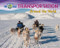Transportation around the World - 9781788565523 by Ellen Lawrence, 9781788565523