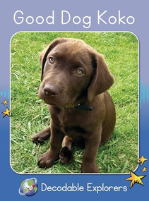 Good Dog Koko (Skills Set 2) by Rachel Walker, 9781776934485