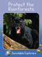 Protect the Rainforests (Skills Set 8) by Rachel Walker, 9781776934737