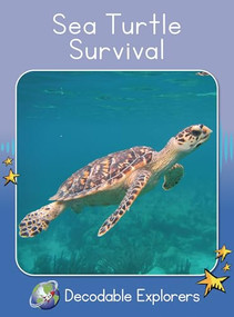 Sea Turtle Survival (Skills Set 8) by Rachel Walker, 9781776934744