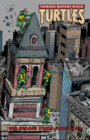 Teenage Mutant Ninja Turtles: The Mirage Years (1993-1995) by Jim Lawson, 9798887242743