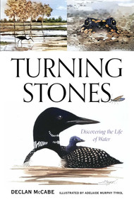 Turning Stones (Discovering the Life of Water) by Declan McCabe, 9781684751839