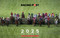 Racing Post Desk Calendar 2025 by David Dew, 9781839501555