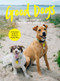 Good Dogs by Helen Cook, Gavin Cook, 9781991006660