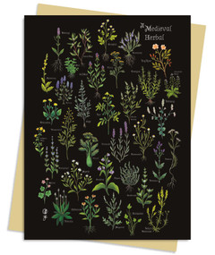 Anna Stead: A Medieval Herbal Greeting Card Pack (Pack of 6) by Flame Tree Studio, 9781835621950