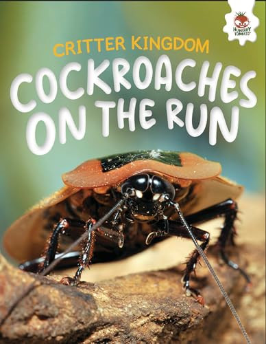 Cockroaches on the Run by Rebecca Storm, 9781835693339