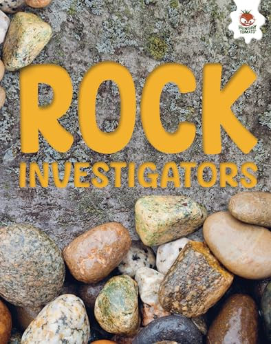 Rock Investigators by Rebecca Storm, 9781835693315