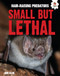 Small but Lethal by John Allan, 9781835693193