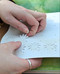 The Bouquet in a Book (Pre-punched pages to press out and make) by Prudence Rogers, 9781446314289