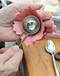 The Bouquet in a Book (Pre-punched pages to press out and make) by Prudence Rogers, 9781446314289