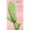 Cactus Address Book, 9781683759676