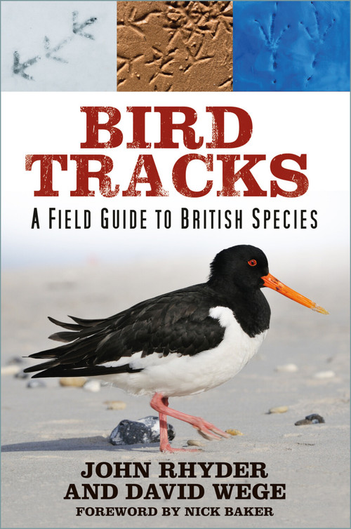 Bird Tracks (A Field Guide to British Species) by John Rhyder, David Wege, 9781803991702