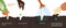 Cómo decirle hola a una lombriz: Primera guía al aire libre (How to Say Hello to a Worm: A First Guide to Outside, Spanish Edition) by Kari Percival, Kari Percival, Yanitzia Canetti, 9780593889374