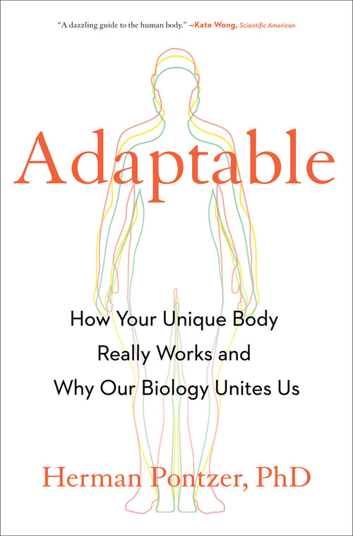 Adaptable (How Your Unique Body Really Works and Why Our Biology Unites Us) by Herman Pontzer PhD, 9780593539309