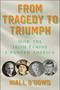From Tragedy to Triumph (How the Irish Famine Changed America) by Niall O'Dowd, 9781510782747