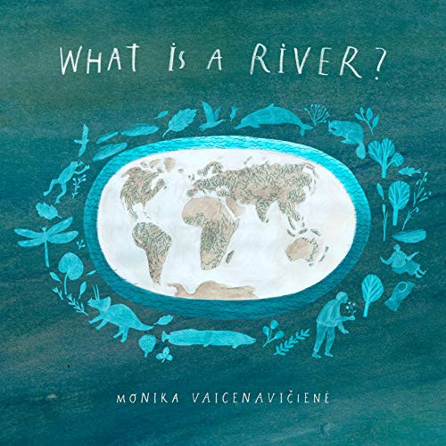 What Is A River? by Monika Vaicenaviciene, 9781592702794