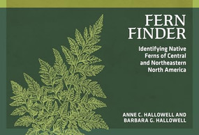 Fern Finder (Identifying Native Ferns of Central and Northeastern North America) by Anne C. Hallowell, Barbara G. Hallowell, 9780912550497