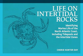 Life on Intertidal Rocks (Identifying Marine Life of the North Atlantic Coast, Including Tidepools and the Intertidal Zones) by Cherie Hunter Day, 9780912550558