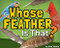 Whose Feather Is That? by Stan Tekiela, 9781647554903