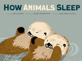 How Animals Sleep - 9781636550978 by Jiri Dvorak, Marie Stumpfova, Benjamin Lovett, 9781636550978