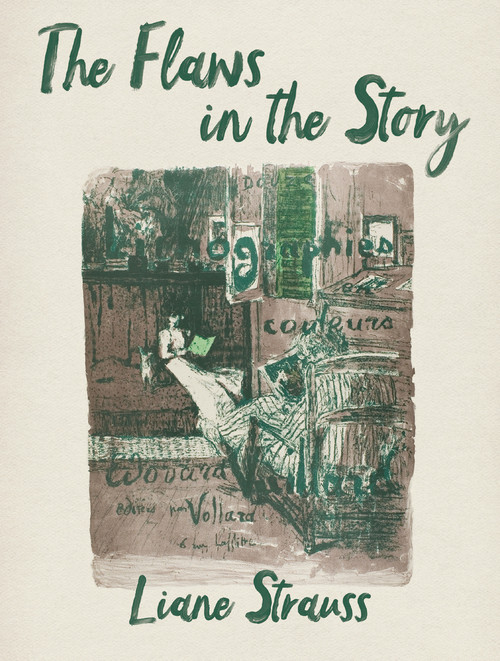The Flaws in the Story by Liane Strauss, 9780998658278