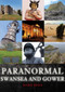 Paranormal Swansea and Gower by Mark Rees, 9781398114876