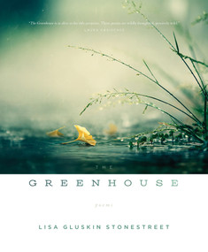 Greenhouse, The by Lisa Gluskin Stonestreet, 9781424318025