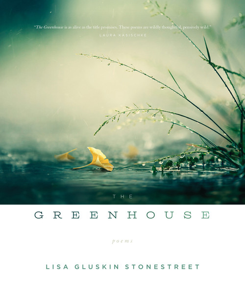 Greenhouse, The by Lisa Gluskin Stonestreet, 9781424318025
