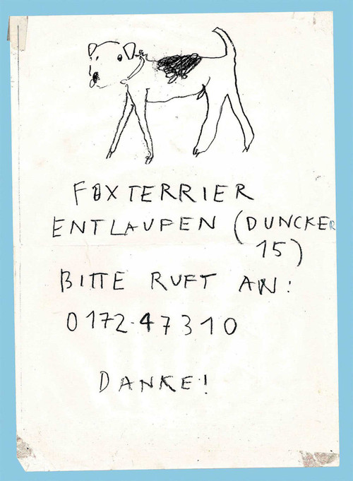 Please Look in the Basement (Dutch; Flemish Edition) by Maarten Inghels, 9789464363425