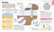 Cómo funciona la biología (How Biology Works) (Spanish Edition) by DK, 9780593969748