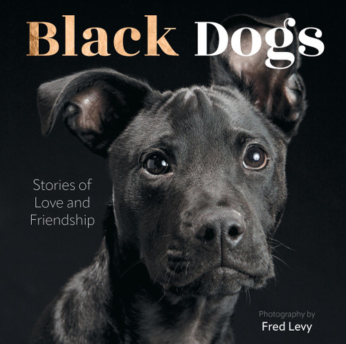 Black Dogs (Stories of Love and Friendship) by Fred Levy, 9780760394502