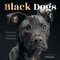 Black Dogs (Stories of Love and Friendship) by Fred Levy, 9780760394502