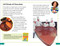 DK Super Readers Level 3 The Story of Chocolate by DK, 9780593962503