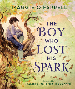 The Boy Who Lost His Spark by Maggie O'Farrell, Daniela Jaglenka Terrazzini, 9781536233933
