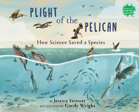 Plight of the Pelican (How Science Saved a Species) by Jessica Stremer, Gordy Wright, 9780823457038