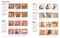 DIY (Repair, Renovate, and Decorate with Over 450 Step-by-Step Projects) by Peter Parham, 9780593964583