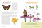 Everyday Wild (An Illustrated Guide for Mindfulness in Nature) by Kathryn Hunter, Bo Hunter, 9780593577752