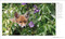 How to Photograph Absolutely Everything by Tom Ang, 9780593963616