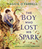 The Boy Who Lost His Spark - 9781536240429 by Maggie O'Farrell, Daniela Jaglenka Terrazzini, 9781536240429
