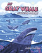 My Gray Whale Migration Journey by Jamee-Marie Edwards, Paula Zorite, 9780756585648