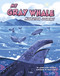 My Gray Whale Migration Journey - 9780756585389 by Jamee-Marie Edwards, Paula Zorite, 9780756585389