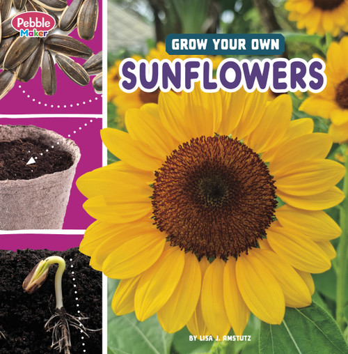 Grow Your Own Sunflowers by Lisa J. Amstutz, 9780756589653