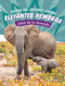 Elefantes hembras: Jefas de la manada (Elephant Cows: Heads of the Herd) (Spanish Edition) by Maivboon Sang, 9780756591601
