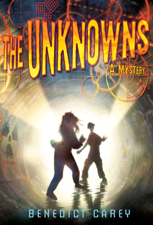 The Unknowns (A Math Mystery) by Benedict Carey, 9780810979918