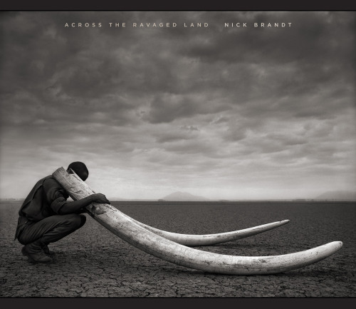 Across the Ravaged Land by Nick Brandt, 9781419709456